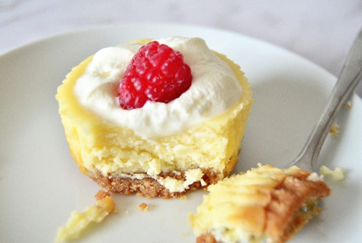 bite sized mini cheesecake served with whipping cream and raspberry on top