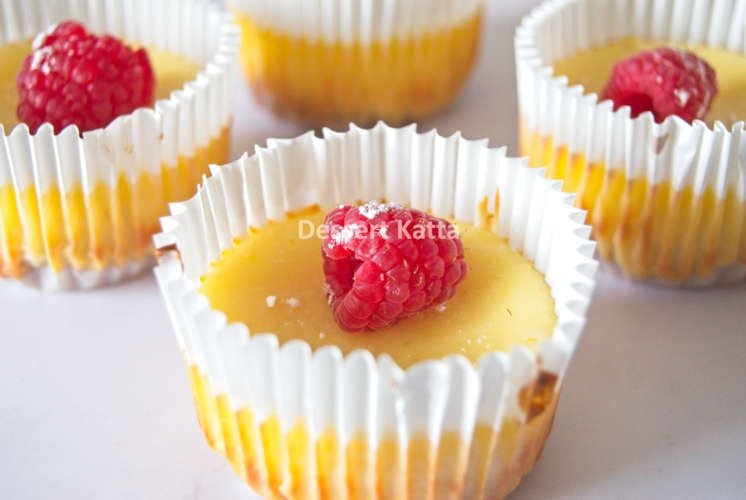 4 mini cheesecake bites covered with cupcake liners and decorated with fresh raspberries and icing sugar.