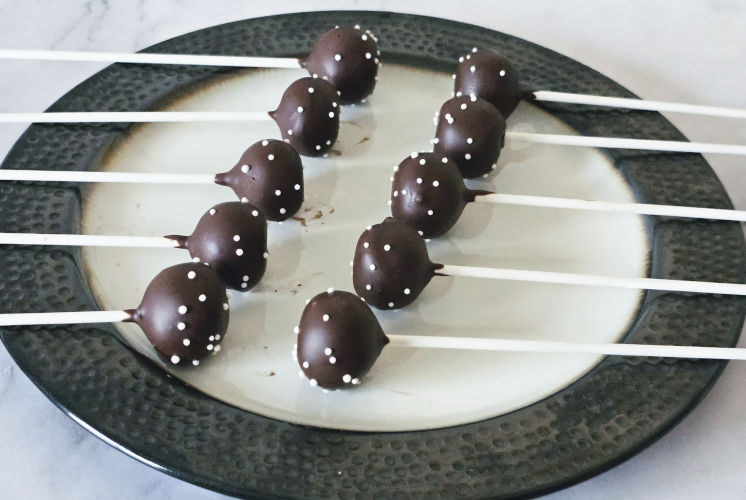 Starbucks chocolate cake pops placed in white plate