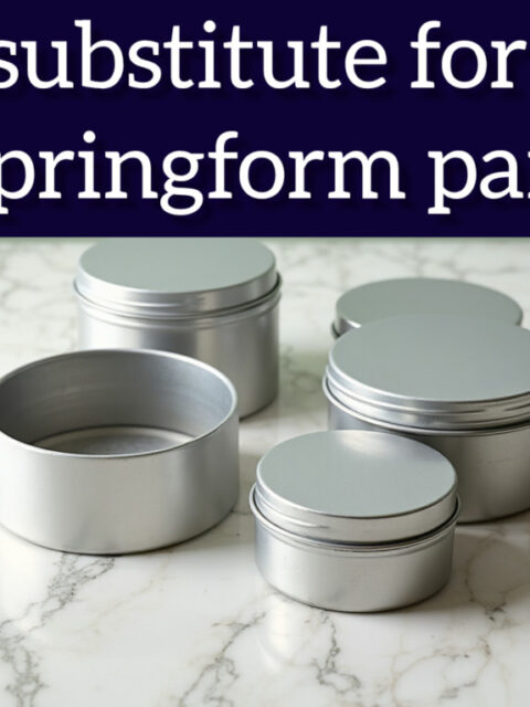 substitute for springform pan